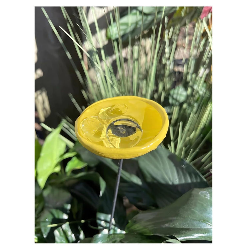 NewBee Water Dispenser, Drinking Station, Butterfly Blender, Hummingbird Water Bottle