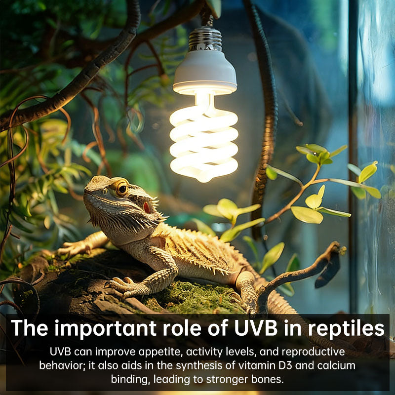 UVB 5.0 10.0 Reptile Heating Lamp13W 26W UVB Rays Energy Heating Light EU/US Calcium-enriched Bulb Lamp for Turtle Lizard Snake